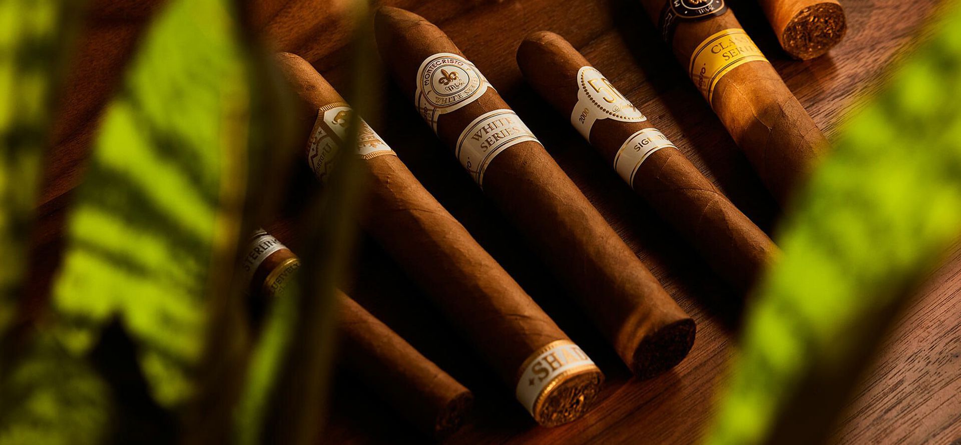 Best Cigars For Beginners.