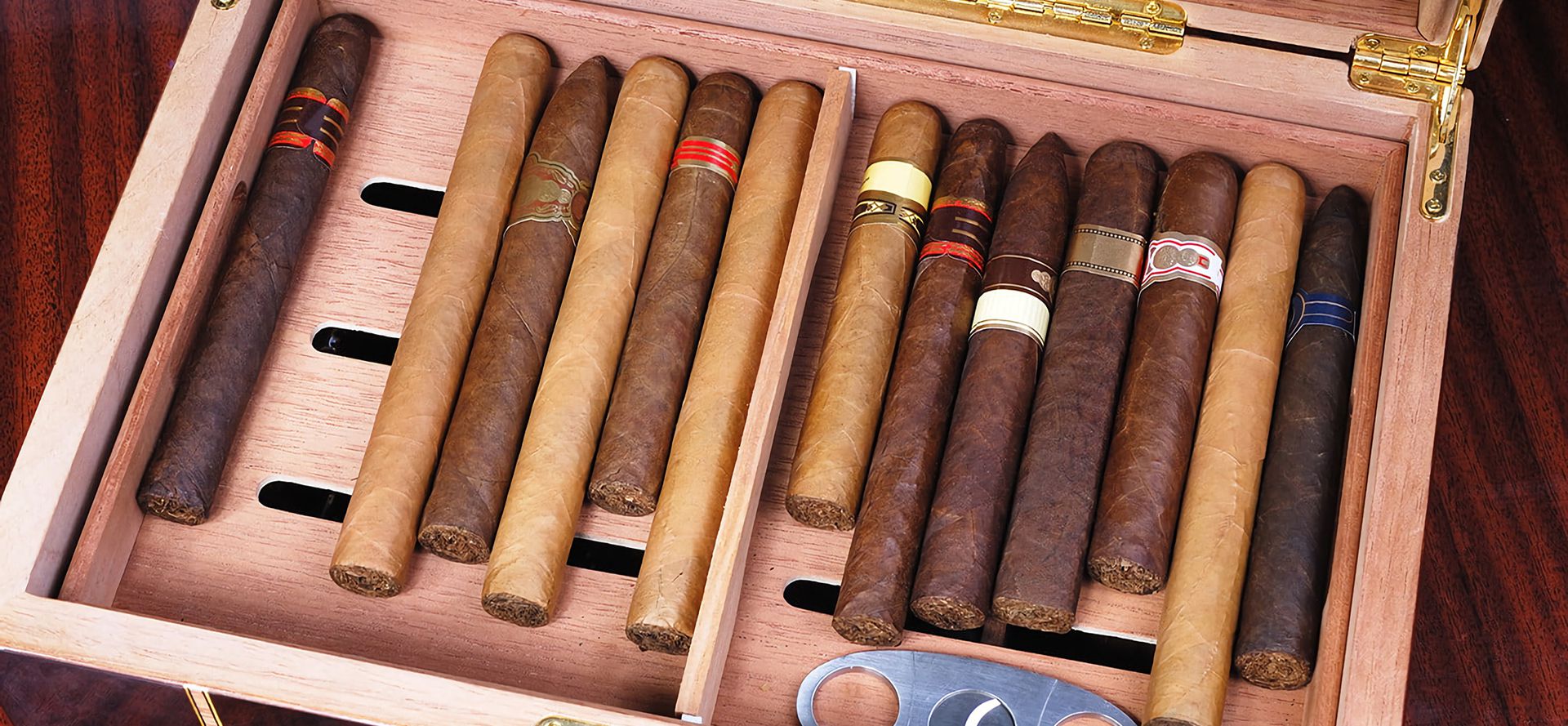 Cigars In Humidor.