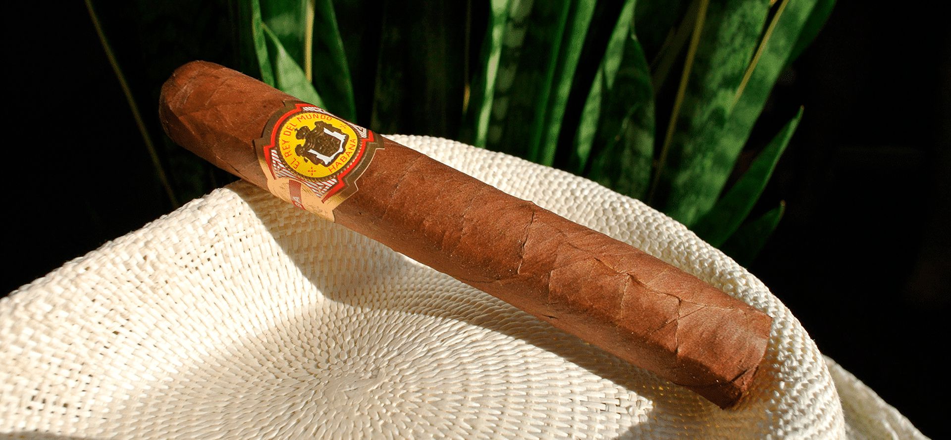 Mild Cigars.
