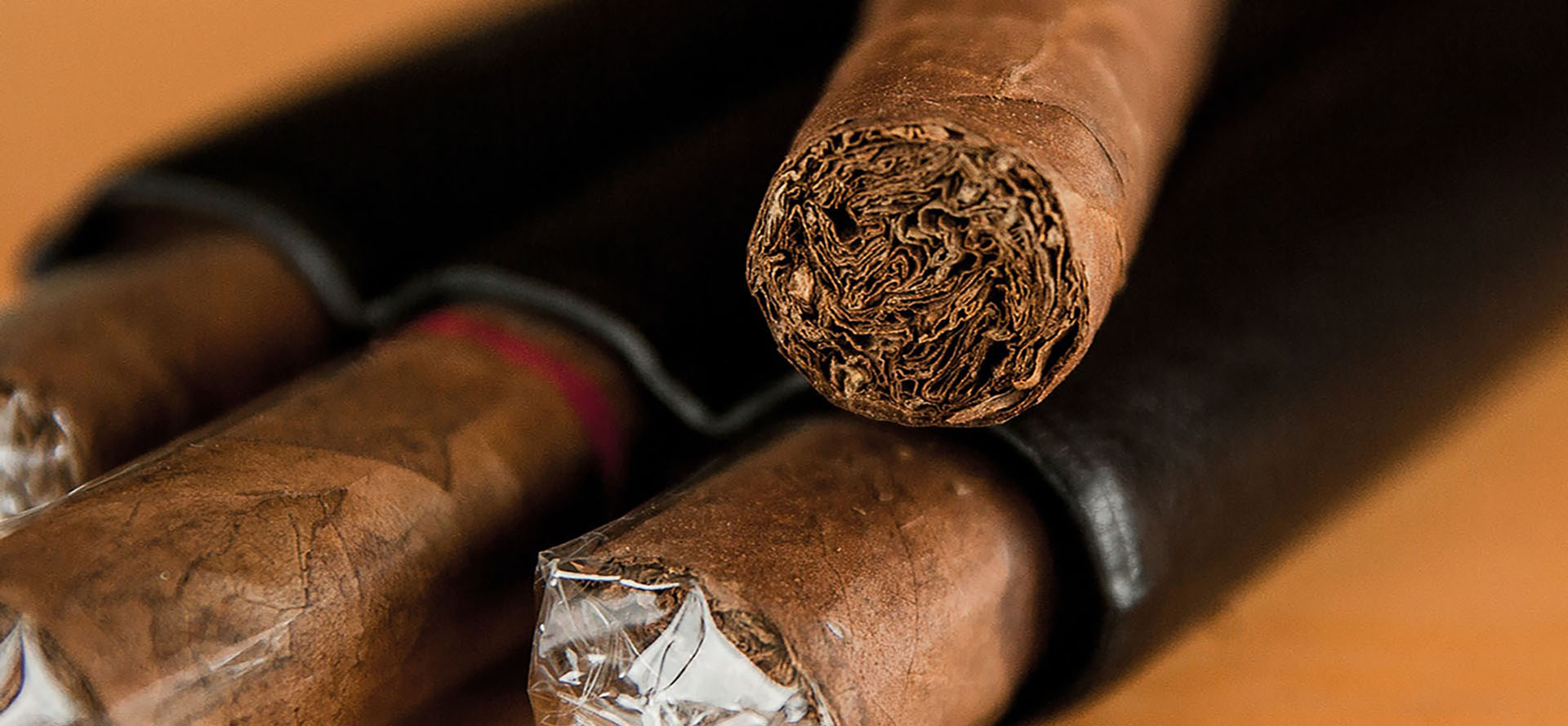 Cigars In Case