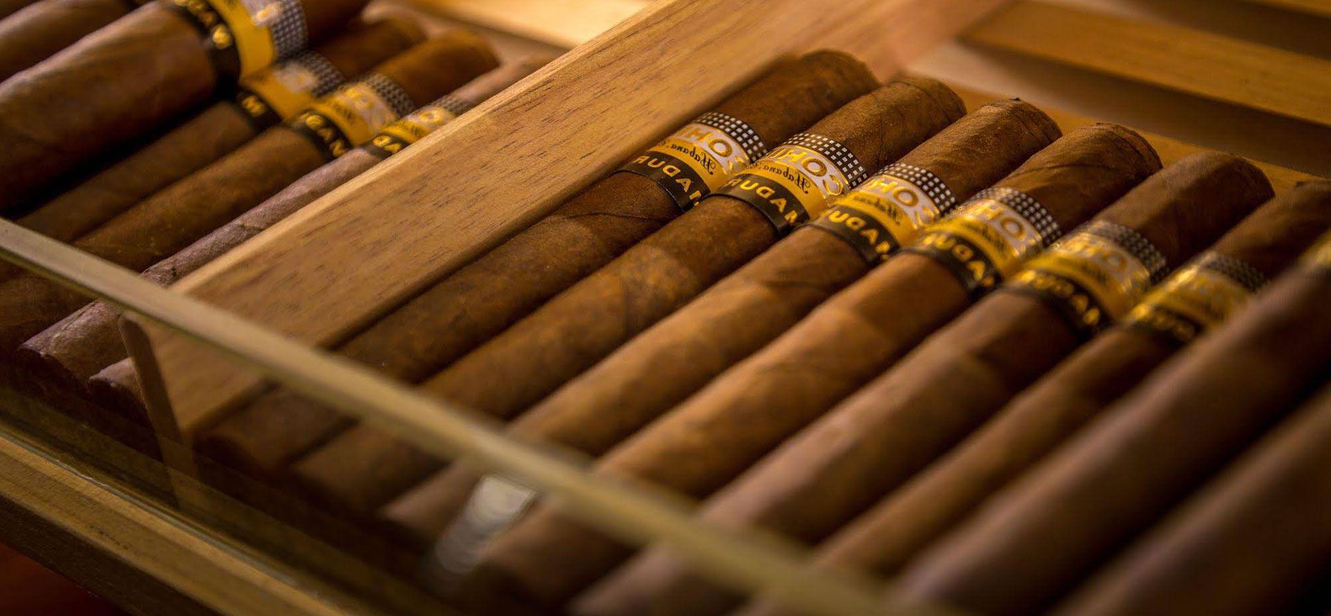 Top Kinds of Stogies: How to Keep up with It
